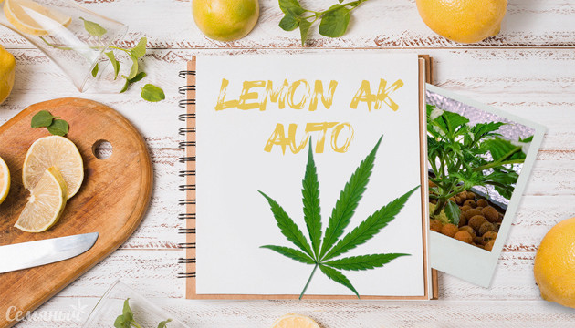 Гроурепорт сорта Lemon AK от FastBuds