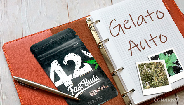 Гроурепорт сорта Gelato Auto fem от FastBuds